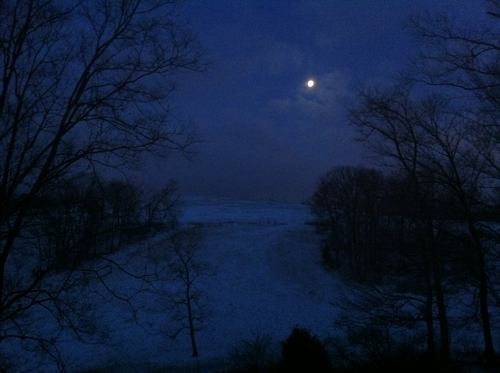 IMG_0121.png